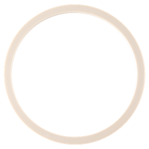 Flat Gasket, designed for homogenizers, 81.00mm x 91.80mm x 3.20mm, manufactured by APV.