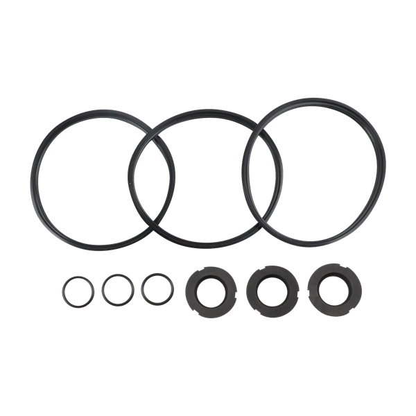 Seal kit buna for C216 pump