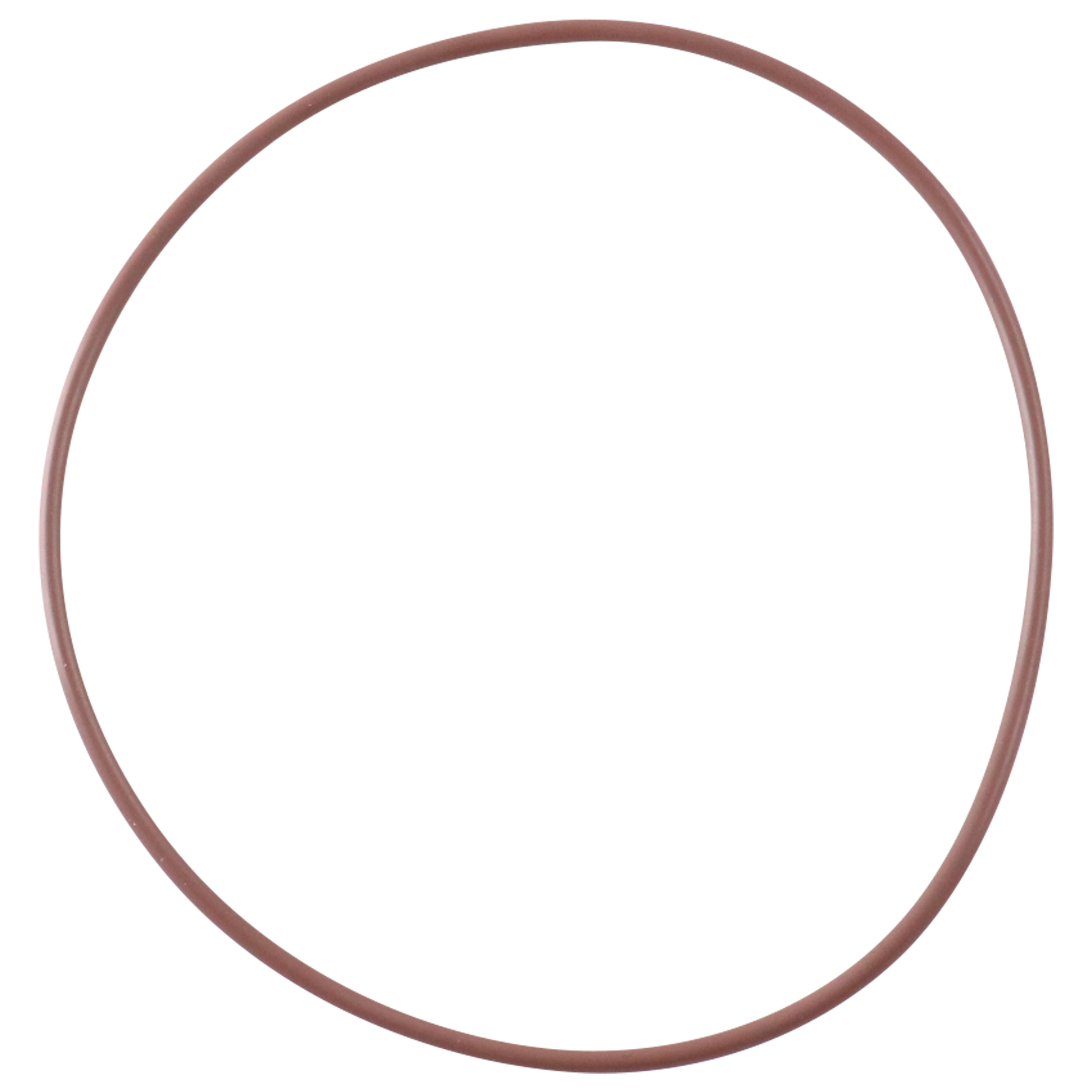 O-ring made from FDA-approved Viton material, ideal for sanitary sealing applications.