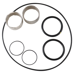 Seal kit for U1 ZP1 model 30, single o-ring design, buna material, stainless steel, by Ampco.
