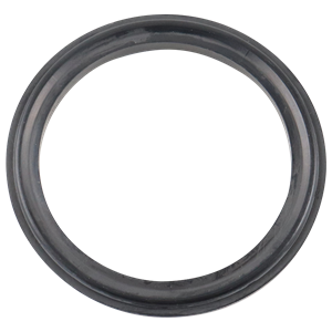 Body gasket 2" buna for air valve