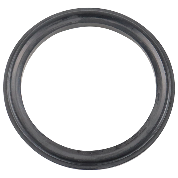Body gasket 2" buna for air valve