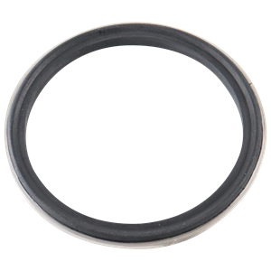 Body gasket 2.5" buna with 316L metal ring for air valve