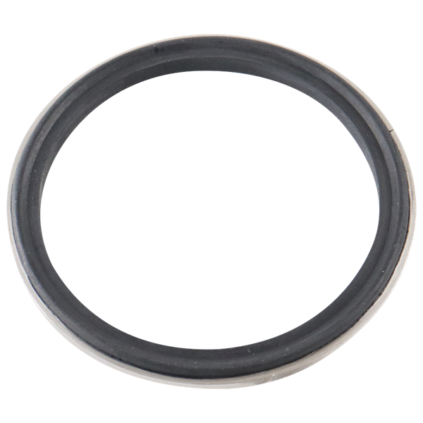 Body gasket 2.5" buna with 316L metal ring for air valve
