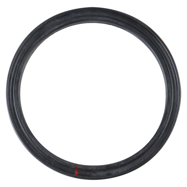 Shaft rotary seal in a package of 10, designed for APV pumps.