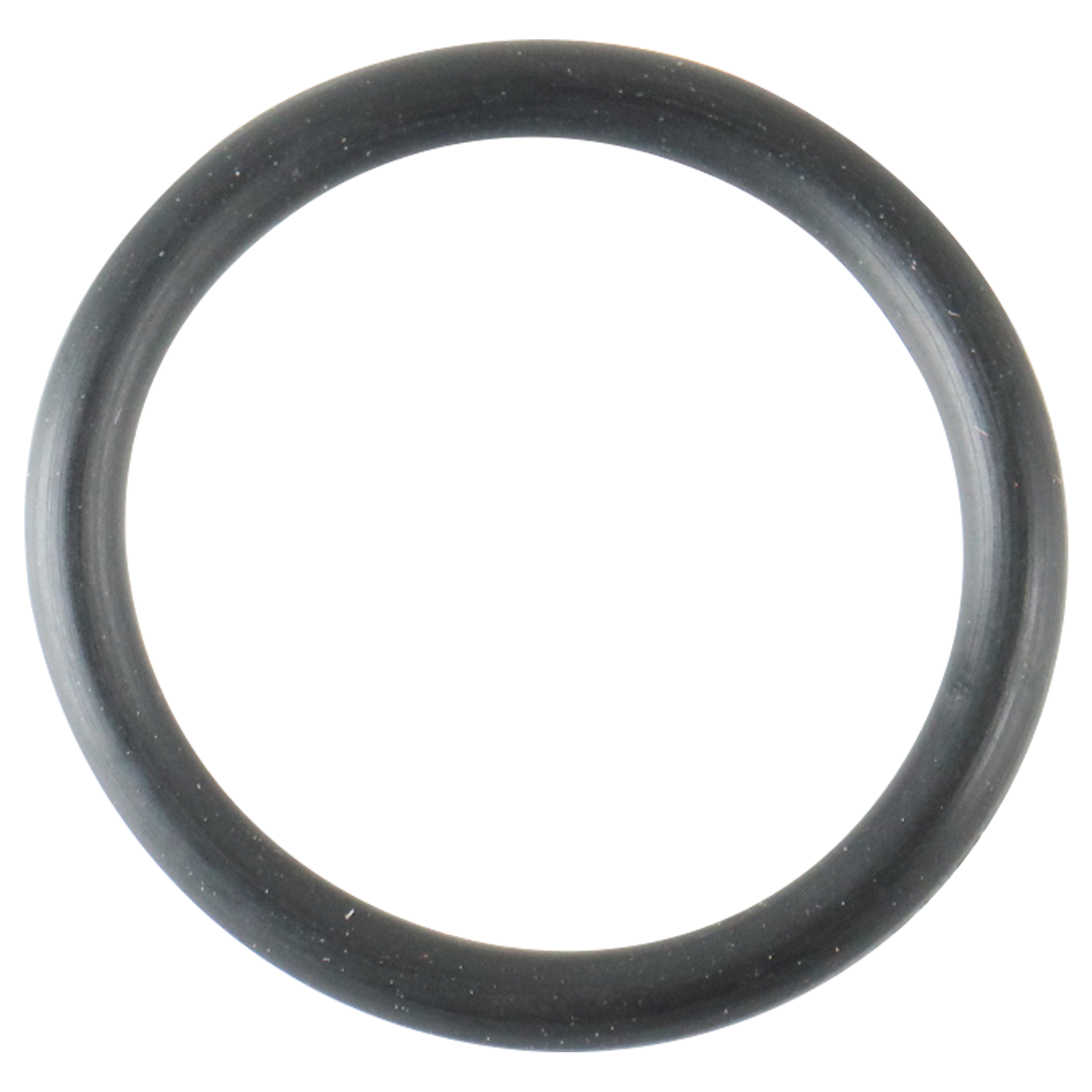 Shaft o-ring buna