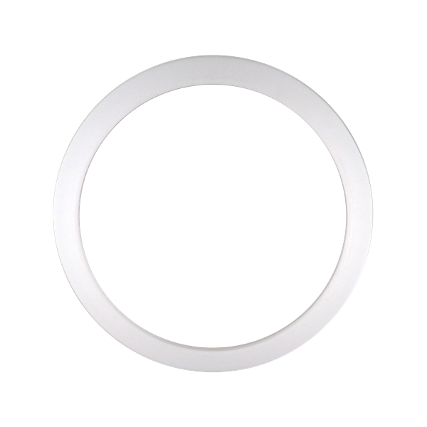 40BSS-2.png