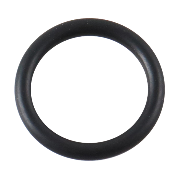 O-ring PM APV