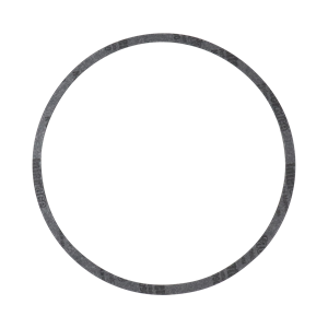 Casing gasket ZC2 Ampco
