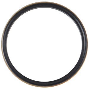 Body gasket 4.5" buna with 316L metal ring for air valve