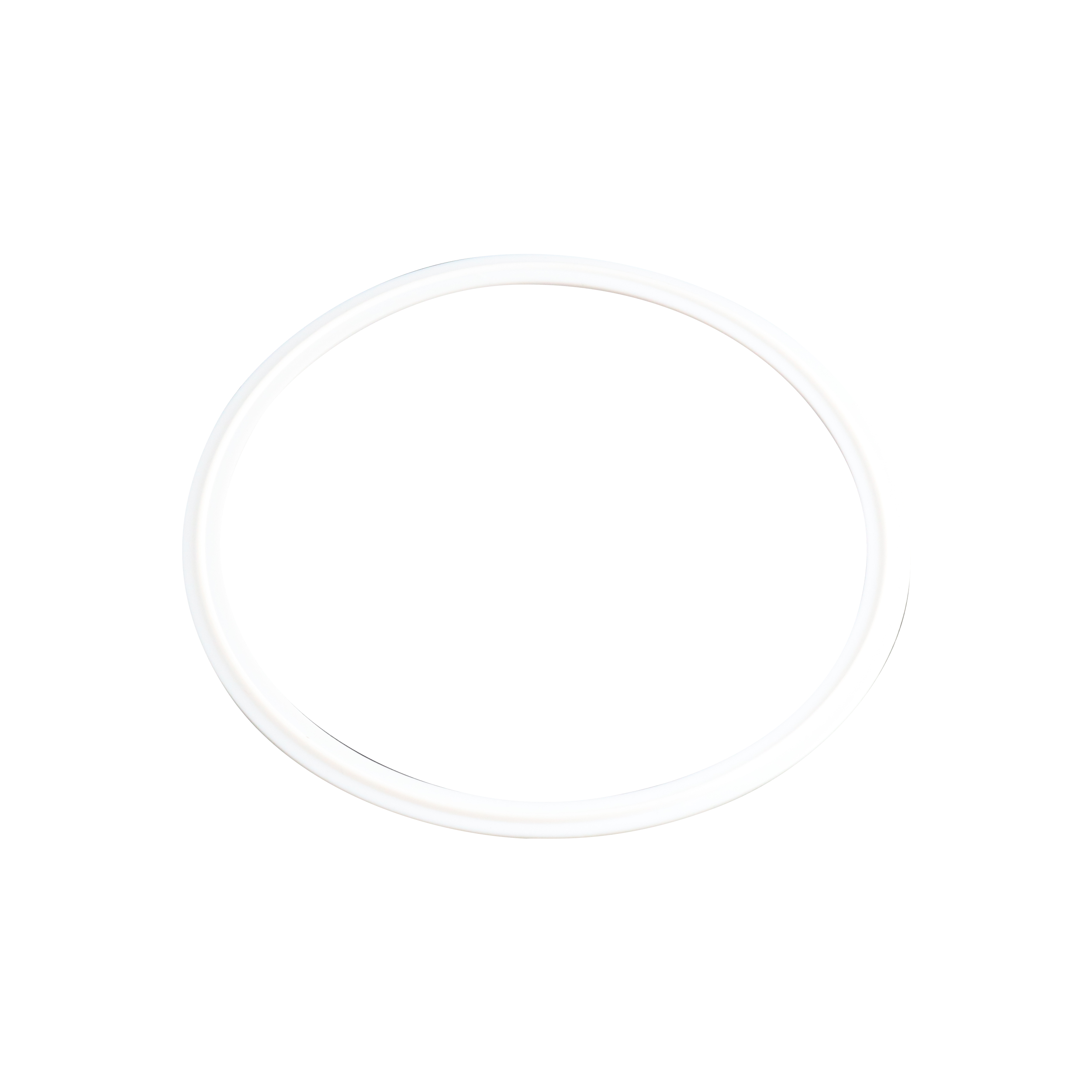 gasket, 6-inch Tri-Clamp, made from Teflon, compliant with USP Class VI standards