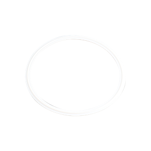 gasket, 6-inch Tri-Clamp, made from Teflon, compliant with USP Class VI standards