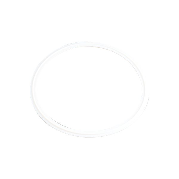 gasket, 6-inch Tri-Clamp, made from Teflon, compliant with USP Class VI standards