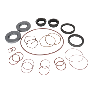 Seal kit C/SC viton double flush mechanical U2 ZP2 model 45 60 130 134 Ampco