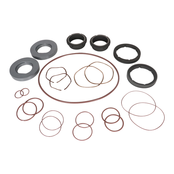 Seal kit C/SC viton double flush mechanical U2 ZP2 model 45 60 130 134 Ampco