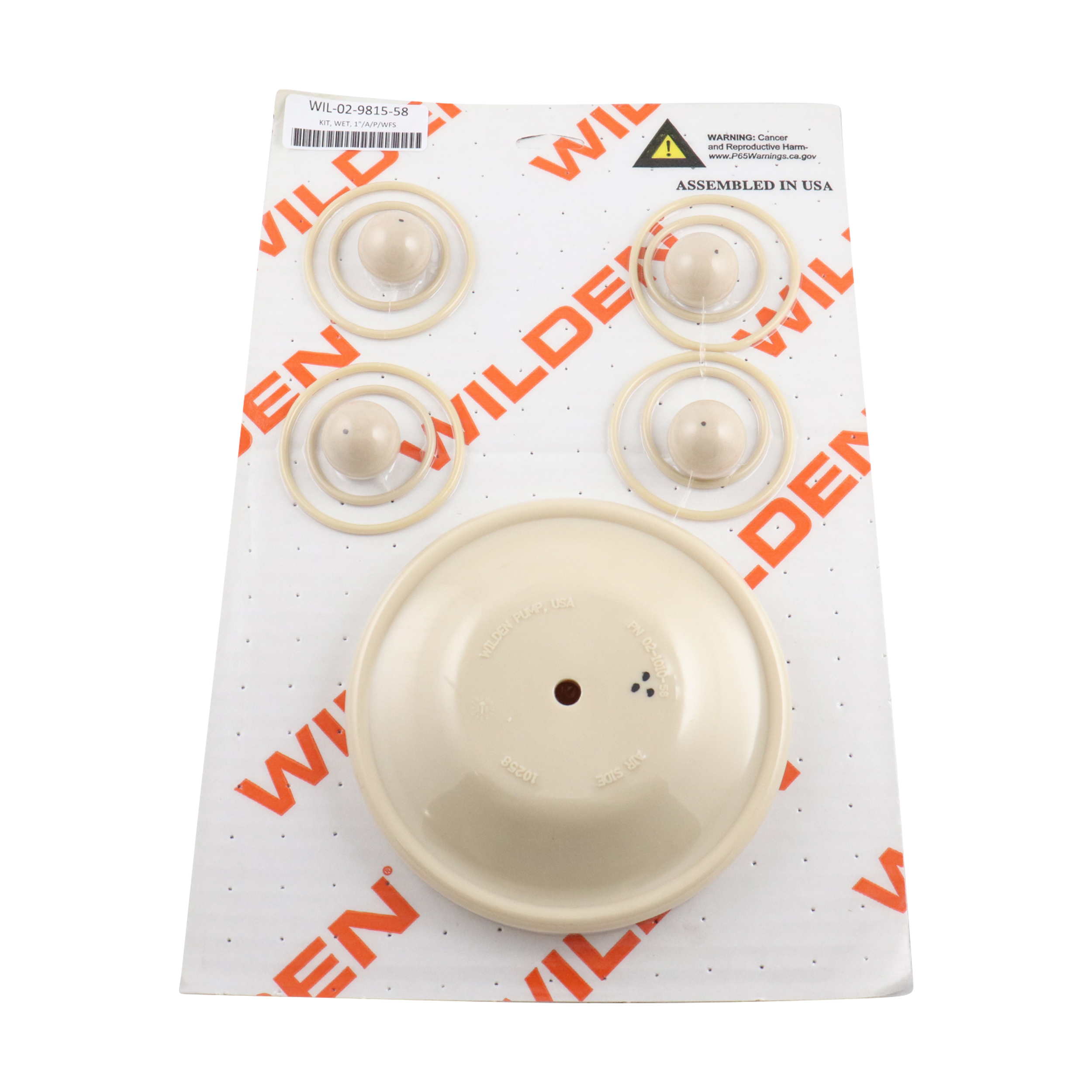 Repair kit for 1-inch advanced plastic pumps, featuring Wilflex diaphragms by Wilden.