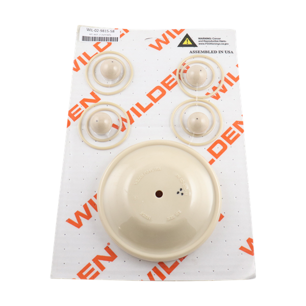 Repair kit for 1-inch advanced plastic pumps, featuring Wilflex diaphragms by Wilden.