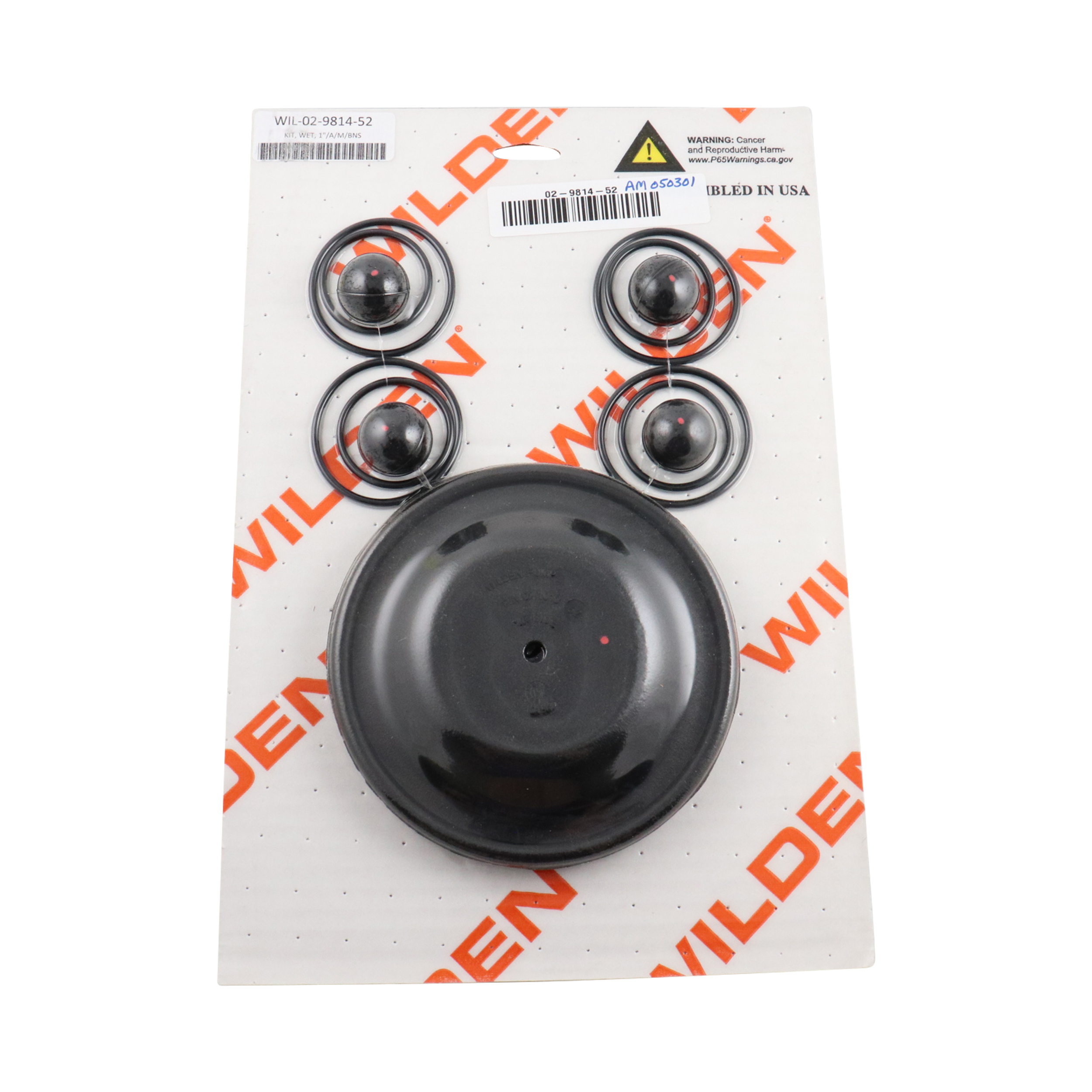 Repair kit for wet applications, 1-inch advanced metal components, with Buna material, manufactured by Wilden.