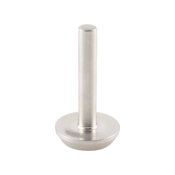 Plug disc check valve