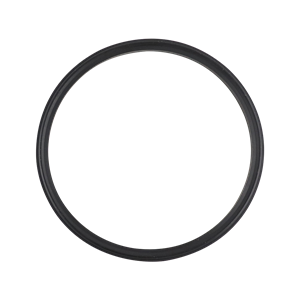 Body gasket 4.5" EPDM for air valve