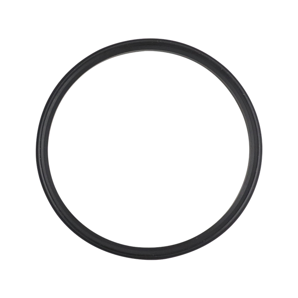 Body gasket 4.5" EPDM for air valve