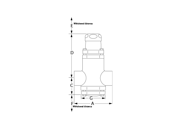 BRV73 FPT Dimensional Diagram