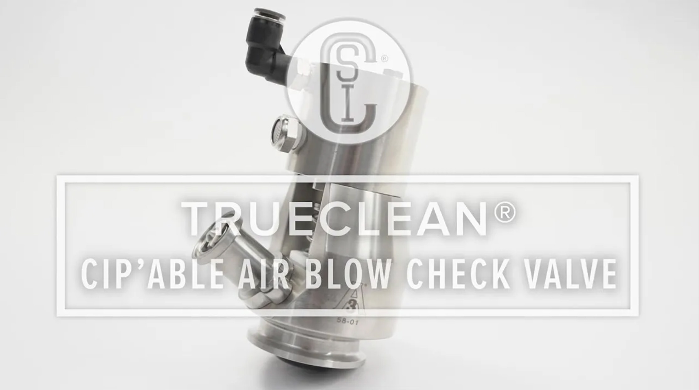 TrueClean CIP'able Air Blow Check Valve